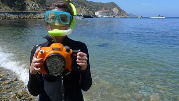 Capturing catalina island wildlife with underwater camera