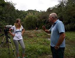 Directing advice in a marshland