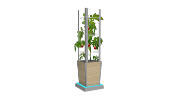 Trellis Model Render